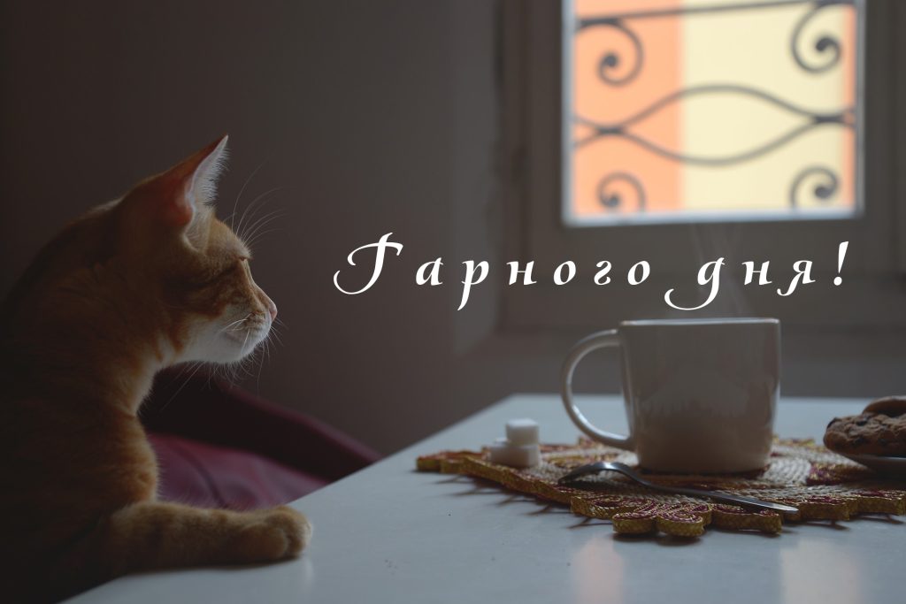 побажання гарного дня картинки - Листівка 18