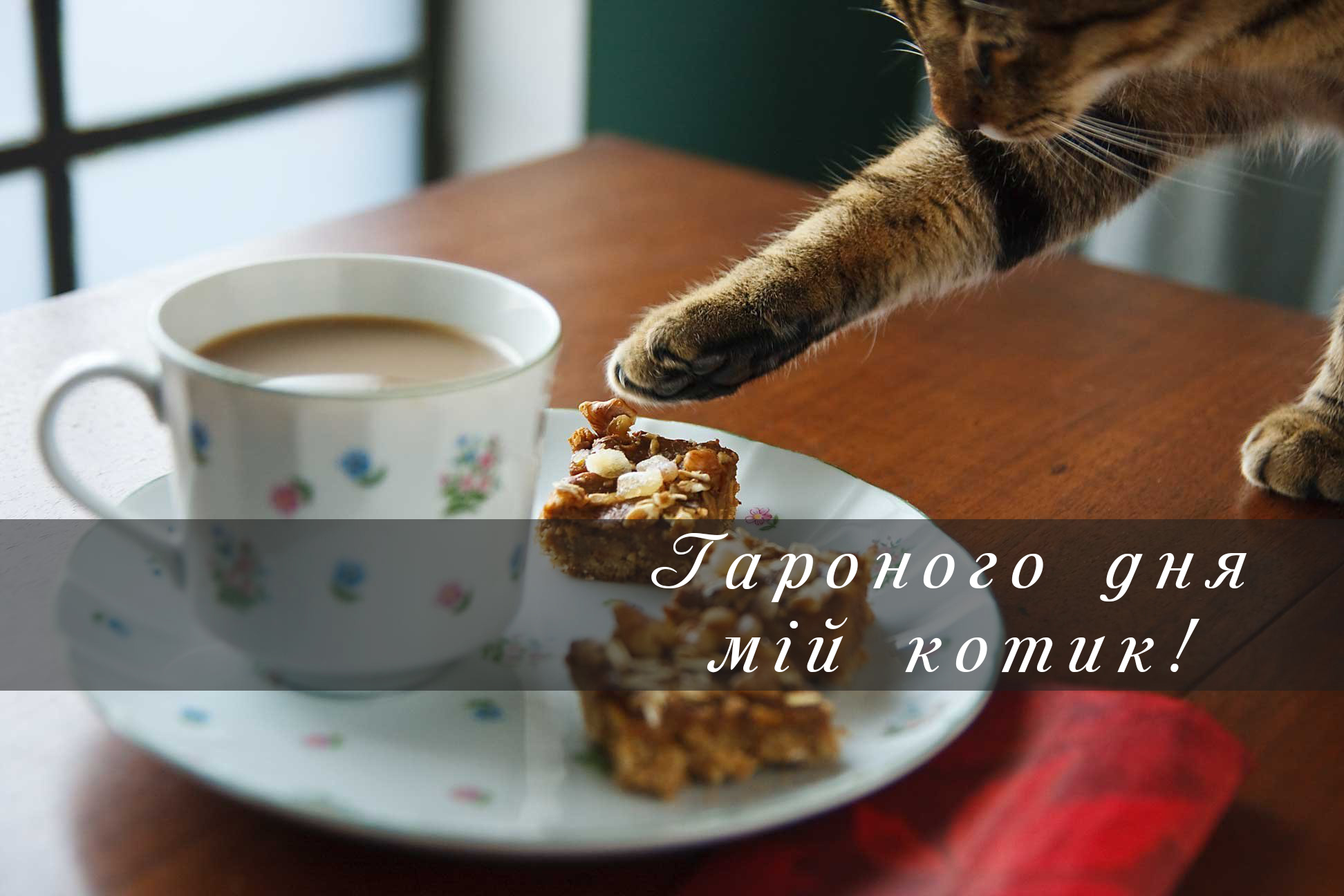 побажання гарного дня картинки - Листівка 19