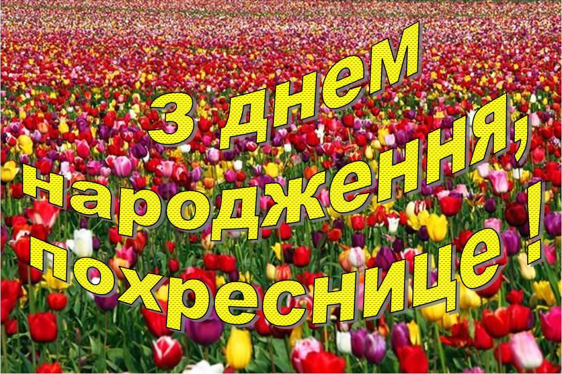 привітання з днем народження похресниці - Листівка 6