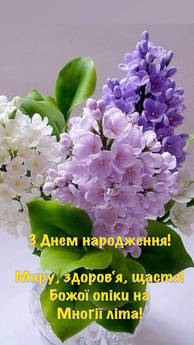 з днем народження нові картинки - Листівка 6