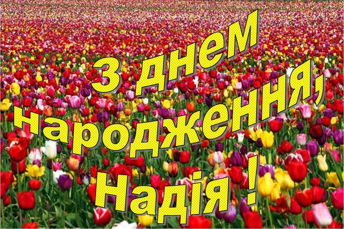з днем народження українському картинки - Листівка 7