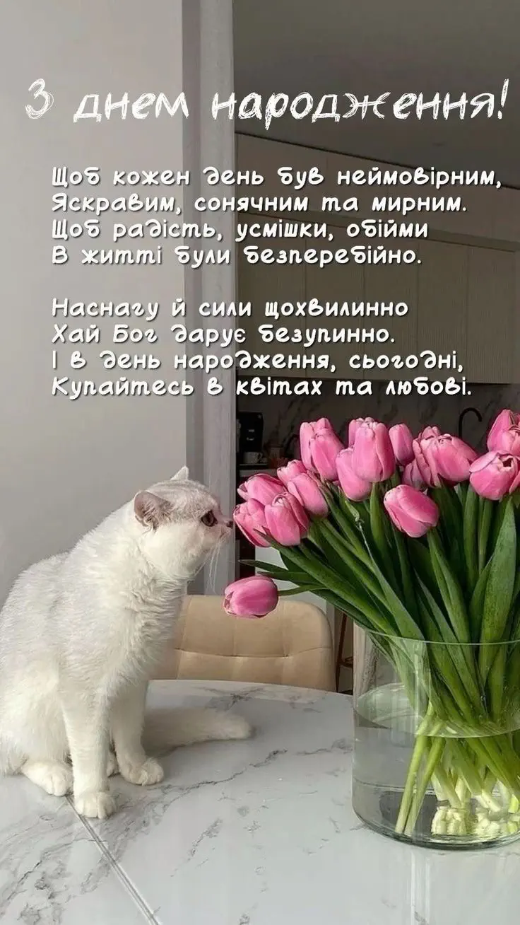 з днем народження жінки картинки - Листівка 16