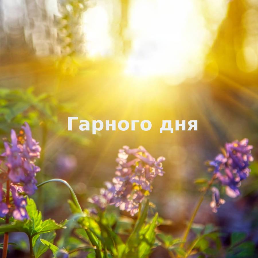 позитивних емоцій прикольні побажання гарного дня - Листівка 16