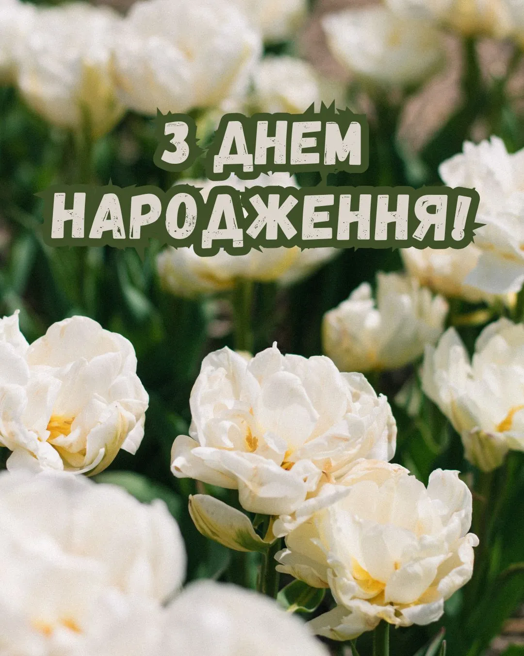привітання до дня народження - Листівка 1